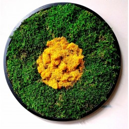 Quadro di verde...