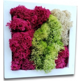 Quadro di verde...