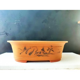 Vaso Bonsai Ovale taglia...