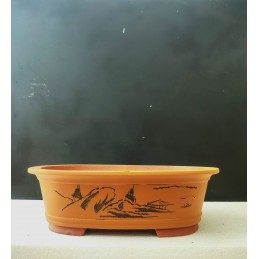 Vaso Bonsai Ovale taglia...