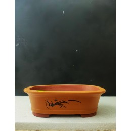 Vaso Bonsai Ovale taglia...