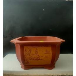 Vaso Bonsai Quadrato taglia...