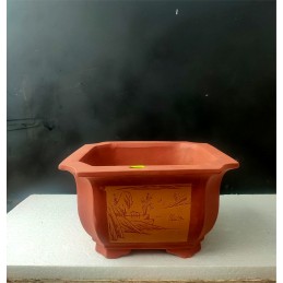 Vaso Bonsai Quadrato taglia...