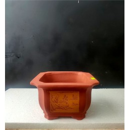 Vaso Bonsai Quadrato taglia...