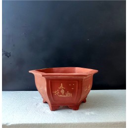 Vaso Bonsai Esagonale...