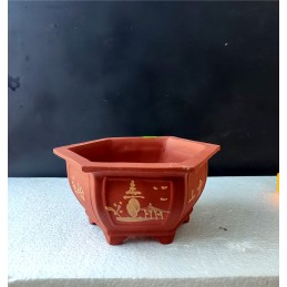 Vaso Bonsai Esagonale...