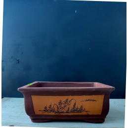 Vaso Bonsai rettangolare...