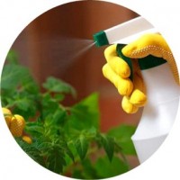 Protezione delle piante