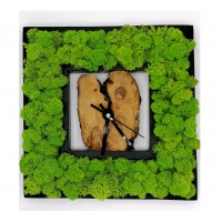 Orologi di legno e verde stabilizzato