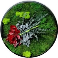Piante e fiori stabilizzati che durano molti anni senza nessuna accortezza o manutenzione in particolare. Un fiore, una pianta una composizione vera ma sempre viva.