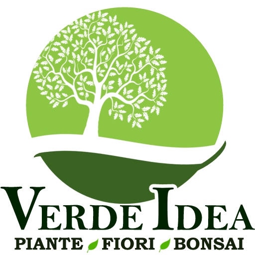 Verde Idea Logo